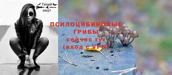 метадон Абаза