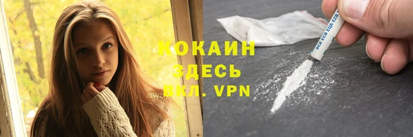 винт Алексин