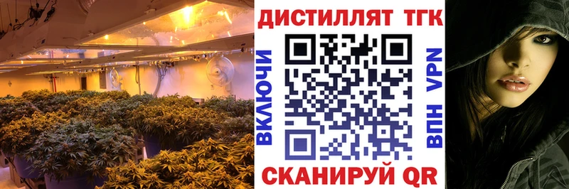 ТГК концентрат  закладка  Алзамай 